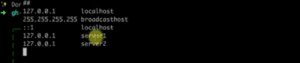 Dois servers no mesmo ip